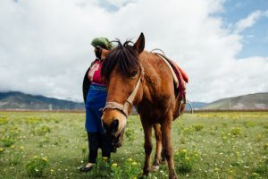 Hur ska man välja rätt ridläger till sitt barn?