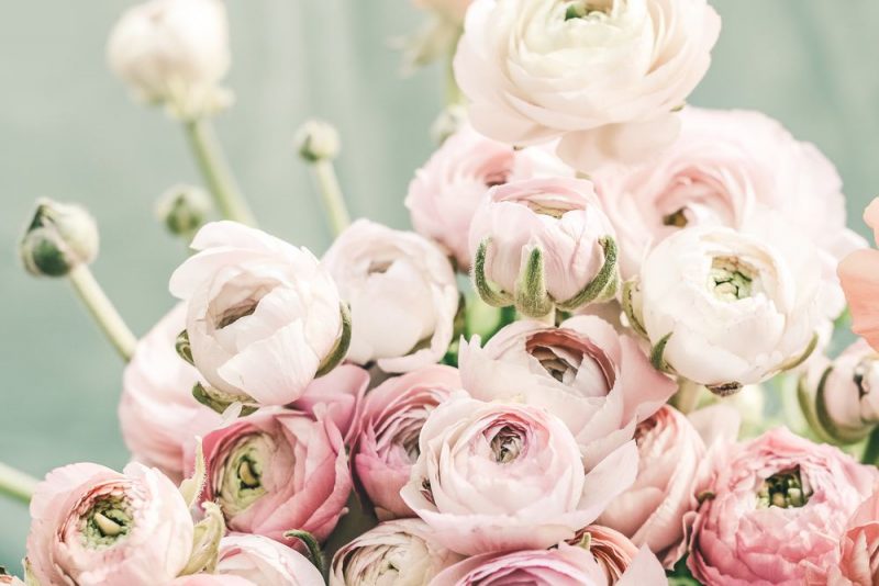Säg det med blommor